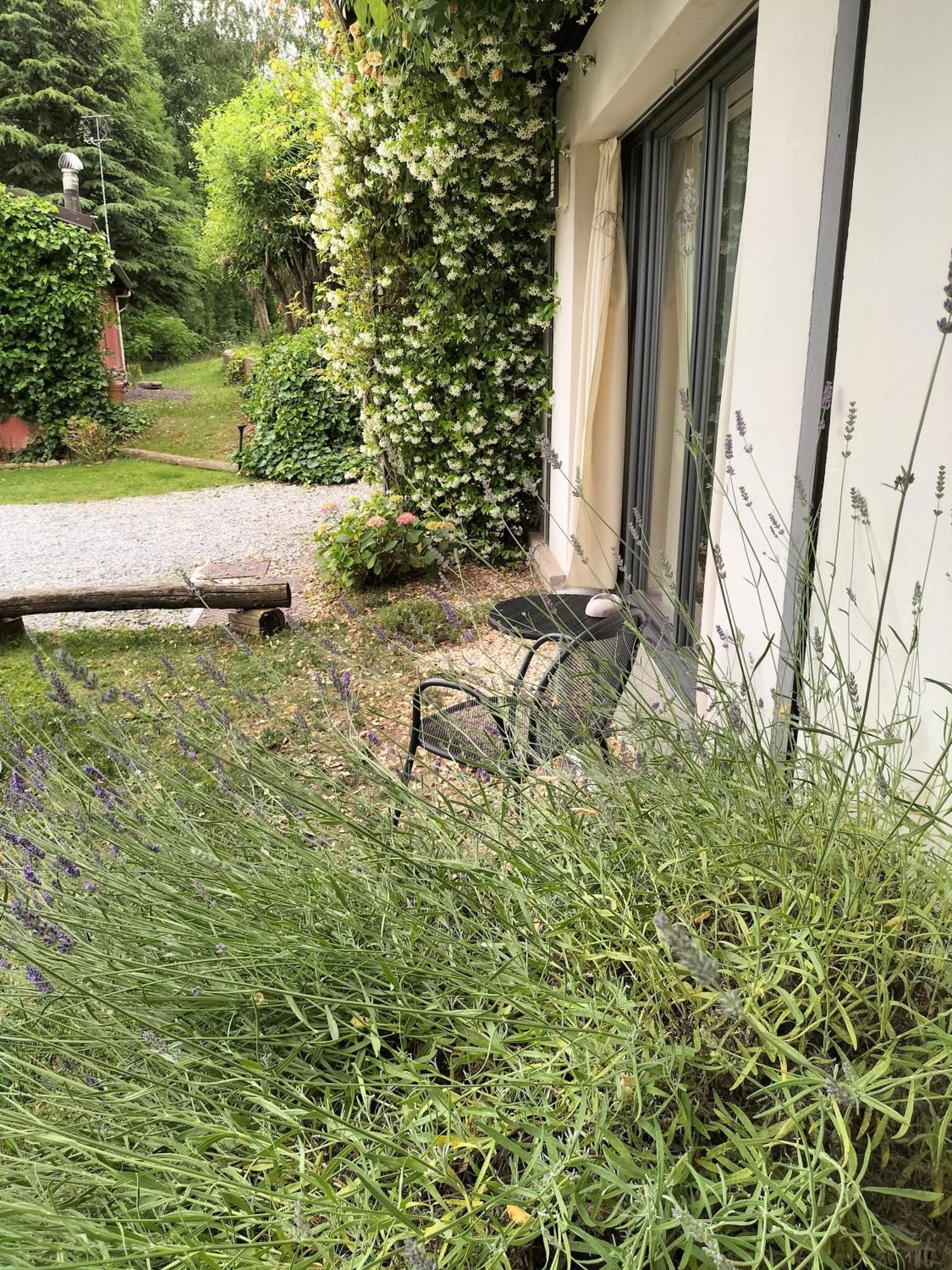 Ca'Luna Guest House Mondovì Eksteriør billede
